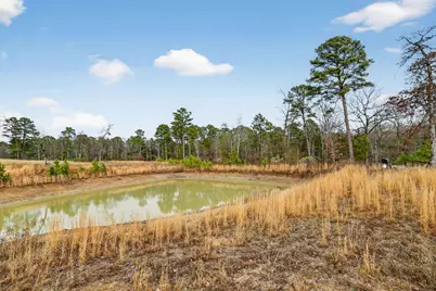 868 County Road 2920, Alba, TX 75410 - Photo 30