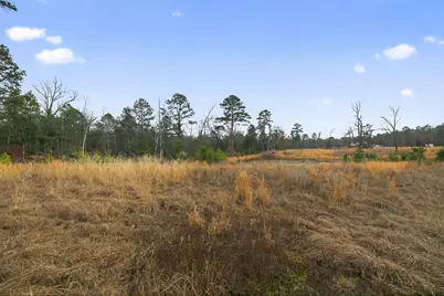868 County Road 2920, Alba, TX 75410 - Photo 16