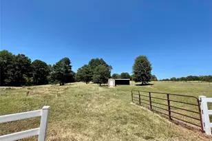 324 FM 1971, Long Branch, TX 75669 - Photo 16