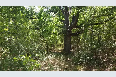 4189 Willow Oak Bend, Royse City, TX 75189 - Photo 4