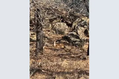 138 Cortez Drive, Nocona, TX 76255 - Photo 2