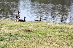 107 Quail Lake Dr W, Whitney, TX 76692 - Photo 36