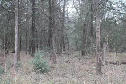 9603 County Road 2404, Kemp, TX 75143 - Photo 36