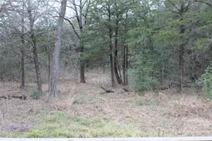 9603 County Road 2404, Kemp, TX 75143 - Photo 32