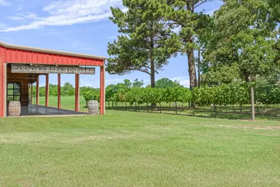 5518 State Highway 198, Canton, TX 75103 - Photo 8