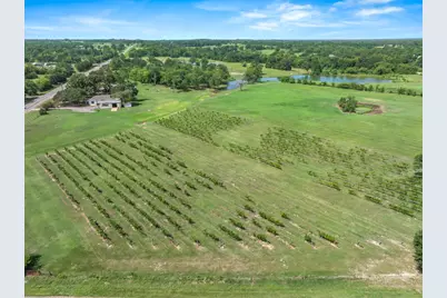 5518 State Highway 198, Canton, TX 75103 - Photo 2