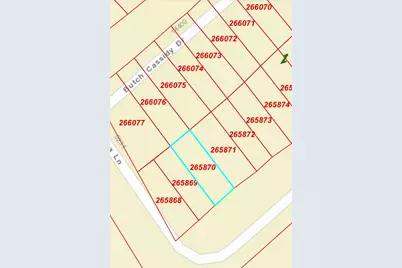 000 Sagebrush Street, Log Cabin, TX 75148 - Photo 2