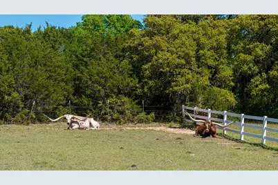 Lot 16 W Hidden Meadow Court, Cresson, TX 76035 - Photo 8