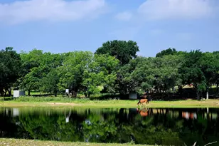 6101 Co Rd 208, Lampasas, TX 76550 - Photo 2