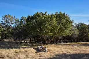 1358 Fm 2315, Rochelle, TX 76872 - Photo 24