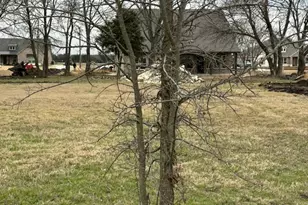 310 Cobb Rd, Leonard, TX 75452 - Photo 22