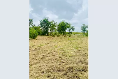 3141 Outlaw Drive, Cresson, TX 76035 - Photo 4