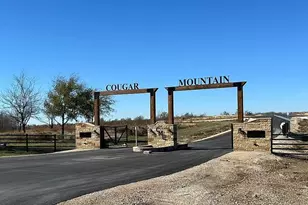 3141 Outlaw Dr, Cresson, TX 76035 - Photo 1