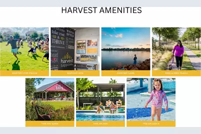 117 Birdcall Lane, Argyle, TX 76226 - Photo 38