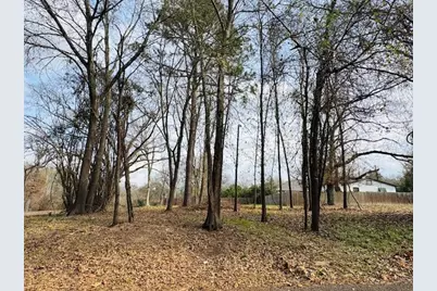 1002 N Hamlett Street, Athens, TX 75751 - Photo 6