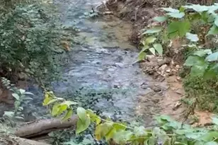 325 Crooked Creek, Garland, TX 75043 - Photo 36