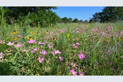 0000 Ten Point Road, Nocona, TX 76255 - Photo 20