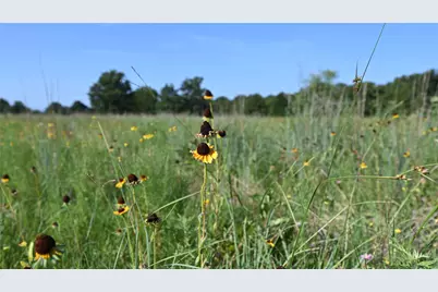 0000 Ten Point Road, Nocona, TX 76255 - Photo 18
