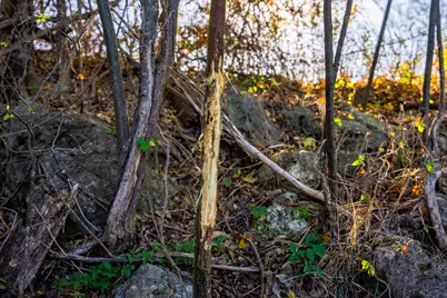 345 Fm 933, Aquilla, TX 76622 - Photo 32