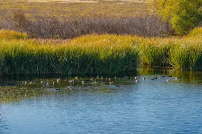 345 Fm 933, Aquilla, TX 76622 - Photo 28