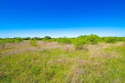 Lot 101 New Hope Road, Palo Pinto, TX 76484 - Photo 4