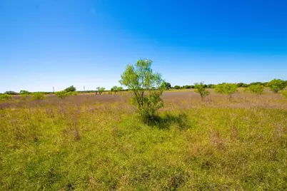 Lot 101 New Hope Road, Palo Pinto, TX 76484 - Photo 8