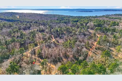 18737 Saddleback Lane, Flint, TX 75762 - Photo 40