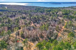 18737 Saddleback Ln, Flint, TX 75762 - Photo 40