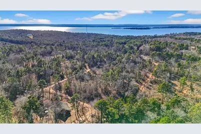 18737 Saddleback Lane, Flint, TX 75762 - Photo 38