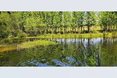 400 County Road 2775, Mineola, TX 75773 - Photo 18