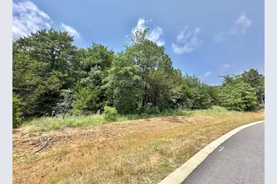 143 Whispering Pine Drive, Gordonville, TX 76245 - Photo 4