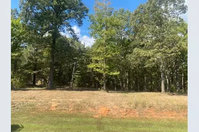 Lot 7R-1 N Private Road 52416 Road, Leesburg, TX 75451 - Photo 2