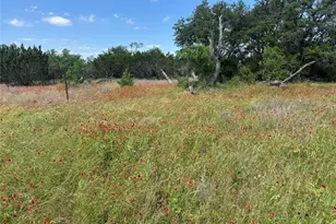 3233 Deer Path Ln, Weatherford, TX 76085 - Photo 26