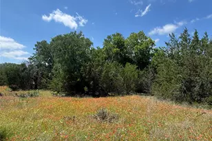 3233 Deer Path Ln, Weatherford, TX 76085 - Photo 36