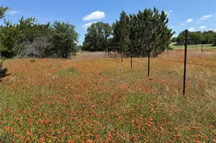 3233 Deer Path Ln, Weatherford, TX 76085 - Photo 1