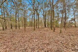 Tbd Co Rd 343, Kaufman, TX 75142 - Photo 1