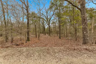Tbd Co Rd 343, Kaufman, TX 75142 - Photo 4