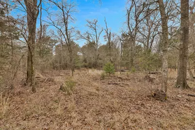 Tbd Co Rd 343, Kaufman, TX 75142 - Photo 10