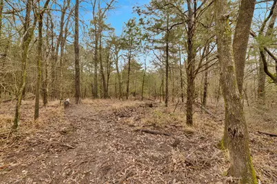 Tbd Co Rd 343, Kaufman, TX 75142 - Photo 6