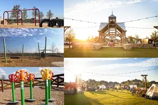 1425 Wildrye Ridge, Celina, TX 75009 - Photo 38