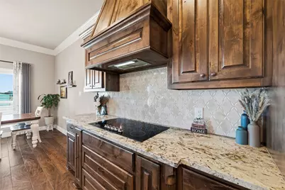 121 Bluff Ridge Court, Paradise, TX 76073 - Photo 10