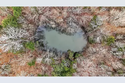 1807 Pink Hill Road, Bells, TX 75414 - Photo 8