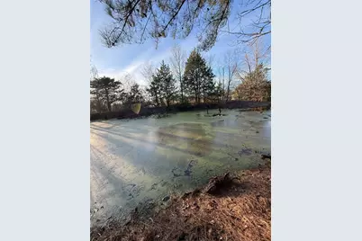 Tbd County Road 4950, Pittsburg, TX 75686 - Photo 8