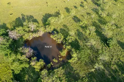 Tbd County Rd 613, Farmersville, TX 75442 - Photo 10