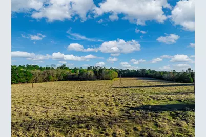 0 Acr 153, Palestine, TX 75801 - Photo 12
