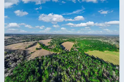 0 Acr 153, Palestine, TX 75801 - Photo 8