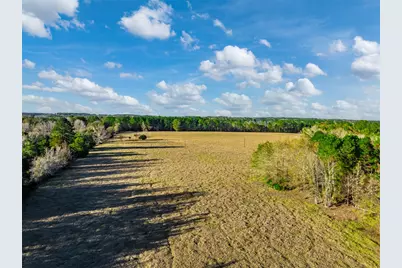 0 Acr 153, Palestine, TX 75801 - Photo 14