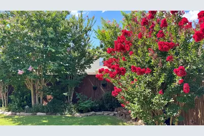 3916 Brook Wood Drive, McKinney, TX 75071 - Photo 4