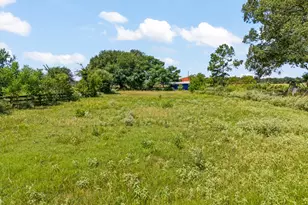 6404 Black Gum Rd, Gilmer, TX 75644 - Photo 36