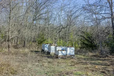 Tract 2 County Road 386, Groesbeck, TX 76642 - Photo 12